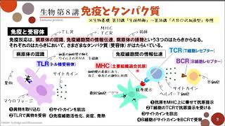 【高校生物】第8講「免疫とタンパク質」 [upl. by Eelnodnarb]