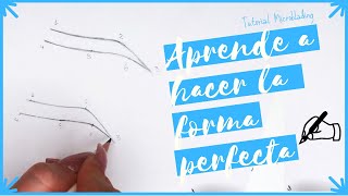 TUTORIAL Diseñando CEJAS PERFECTAS Para MICROBLADING Fácil [upl. by Battat]