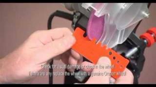 How to Sharpen Chain Saw Chains Oregon Chainsaw Sharpening Guide [upl. by Barbra]