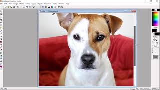 How to edit a photo and then digitize it in Photo Stitch with PE Design [upl. by Bruckner]