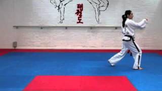 Chon Ji Tul and basic movements for grading to 8th kup [upl. by Jolene534]