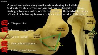 Anatomy of a pulled elbow [upl. by Eivol126]