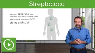 Streptococci – Microbiology  Lecturio [upl. by Livvi]