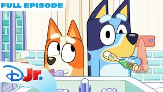 Bluey Full Episode  The Weekend  Full Episode  disneyjr x BlueyOfficialChannel [upl. by Euqimod]