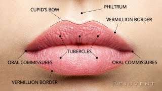 The Secret to Natural and Beautiful Lips  with Dr Bouzoukis [upl. by Anastase]