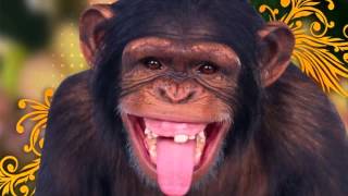 Chimpancé riendose  Efecto de sonido [upl. by Carmelia953]