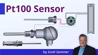 Pt100 Sensor Explained  Working Principles [upl. by Zweig]