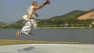 Shaolin Kung Fu weapon chain whip [upl. by Ioved456]