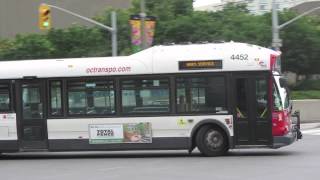 Buses in Ottawa Canada [upl. by Oberheim]