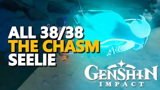 All The Chasm Seelie Genshin Impact [upl. by Chace]