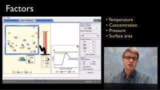 The Rate of Reactions [upl. by Biles]