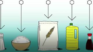 Food Fortification  Basics [upl. by Olifoet965]