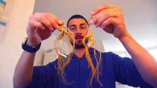 Health Benefits Of Ginseng [upl. by Anekahs]