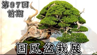 【盆栽】第97回 国風盆栽展 前期【Bonsai】The 97th Kokufu Bonsai Exhibition 2023 Part 1 [upl. by Ahsropal]