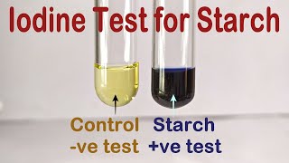 Iodine Test For Starch Practical Experiment [upl. by Atiekan914]