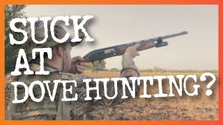 8 Common Dove Hunting Mistakes amp How to Fix Them [upl. by Casia]