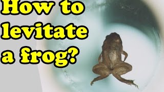 How to Levitate a Frog Curiousminds97 [upl. by Kobylak]