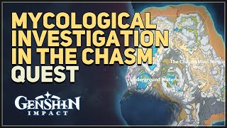 Mycological Investigation in The Chasm Genshin Impact [upl. by Aiekram437]