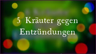 5 Kräuter gegen Entzündungen amp Anwendung Entzündungshemmende Heilkräuter [upl. by Babette]