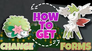 How to get Shaymin and change its form in Pokemon Brick Bronze [upl. by Lotsirhc581]