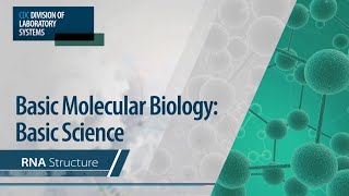 Basic Molecular Biology Basic Science – RNA Structure [upl. by Nolrac]