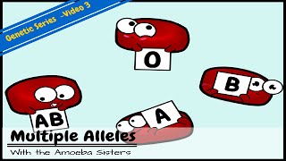 Multiple Alleles ABO Blood Types and Punnett Squares [upl. by Orola]