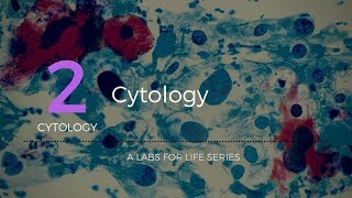 Cytology [upl. by Topping501]