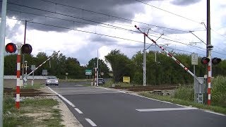 Spoorwegovergang Kostrzyn PL  Railroad crossing  Przejazd kolejowy [upl. by Corel]