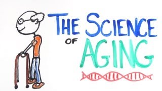 The Science of Aging [upl. by Nowd804]