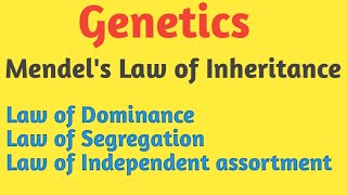 Genetics  Mendels Law of Inheritance  Pravin Bhosale [upl. by Snell37]