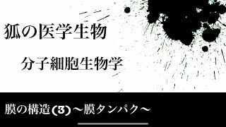 分子細胞生物学47 膜の構造3〜膜タンパク〜 [upl. by Brockwell290]