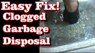 Clogged Garbage Disposal EASY FIX [upl. by Nailil]