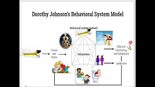 Nursing Theories Dorothy Johnsons Behavioural System Model [upl. by Anyaled834]