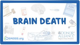 Donor Alliance  Brain Death [upl. by Tnayrb455]