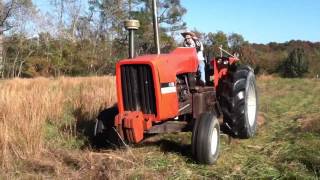 7030 Allis chalmers [upl. by Yhtomit]