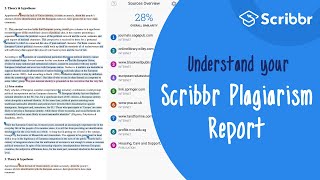 The Scribbr Plagiarism Report Explained  Scribbr 🎓 [upl. by Nessi369]