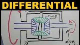 Differentials  Explained [upl. by Oile]