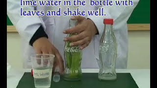 Photosynthesis Experiment  Pakistan Science Club [upl. by Siram]