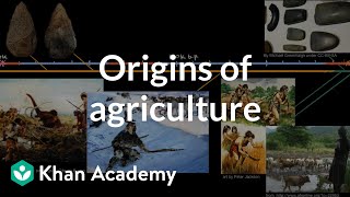 Origins of agriculture  World History  Khan Academy [upl. by Nikaniki]