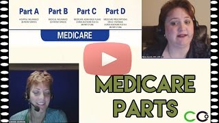 Medicare Billing Guidelines  Medicare Parts A B C and D [upl. by Evanthe558]