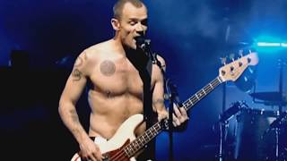 Red Hot Chili Peppers  Full Live at La Cigale 2006 HD [upl. by Sokul73]