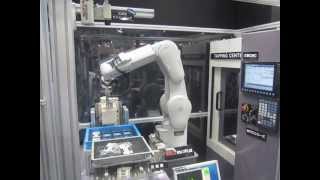 Mitsubishi Electric F Series Robot Machine Tending [upl. by Yendic]