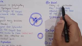 placentation and its types in plants  class bsc Botany [upl. by Fromma]