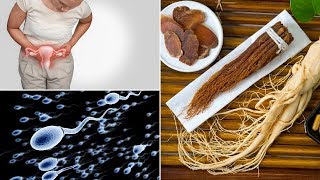 Top 10 Health Benefits Of Ginseng  Importance of Ginseng For Men and Women [upl. by Eniawtna500]