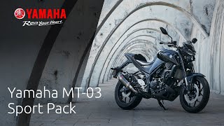 2020 Yamaha MT03 Sport Pack [upl. by Hawker]