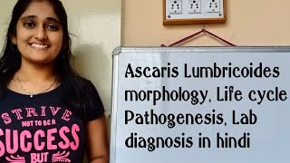 Ascaris Lumbricoides morphology Life cycle in hindi Pathogenesis in hindi Lab diagnosis [upl. by Srini]