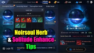 MIR4 Noirsoul Herb amp Solitude Enhance Tips [upl. by Zinck]