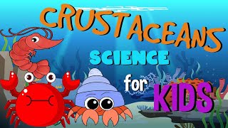 What are Crustaceans  Science for Kids [upl. by Childers226]