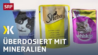 Katzenfutter im Test Jedes zweite Nassfutter ist ungesund  2017  Kassensturz  SRF [upl. by Odnumde]