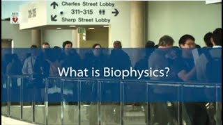 What is Biophysics [upl. by Gildea]